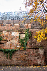 Fototapety na wymiar - Fototapeta24.pl