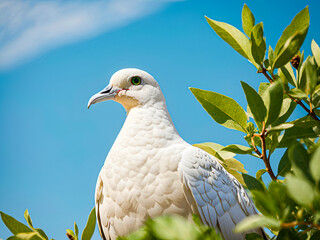 A white paper dove with a green olive branch, representing peace