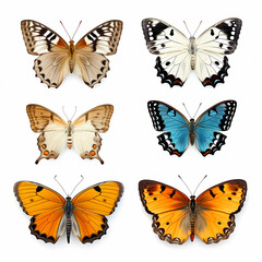 Realistic Butterflies in Top-View Elegance on a White Background