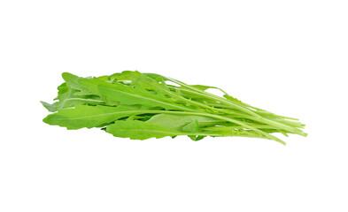 Sweet rucola salad or rocket lettuce leaves transparent png