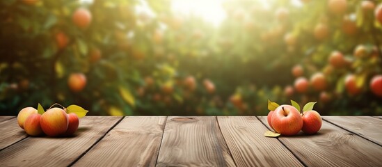 Wooden table in the background of a fall apple orchard copy space image