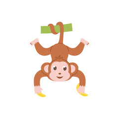 cute animal monkey vector set animal