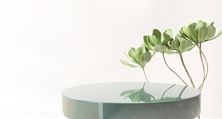 Modern shiny emerald green side table podium, tropical tree twig in sunlight on white background....