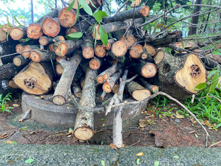 Natural wooden background - closeup of chopped wood. Firewood stacked and prepared. Pile of wood logs.