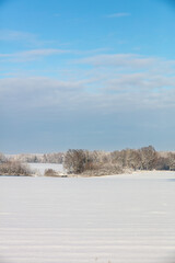 Obraz premium landscape with snow covered trees