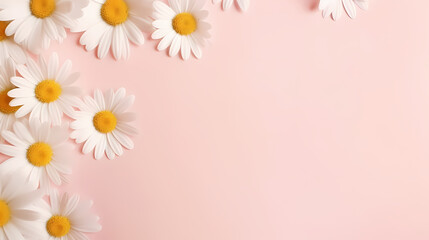 Fototapeta na wymiar Minimal styled concept. White daisy chamomile flowers on pale pink background. Creative lifestyle, summer, spring concept. Copy space, flat lay, top view