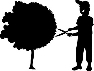 A gardener prunes trees in the garden. . He has a large pruning shears in his hands. Illustration on a transparent background. Cartoon. Silhouette