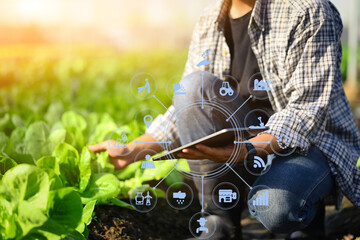 Farmer analyzing and controlling of plant quality in the soil with digital tablet. Agriculture with...