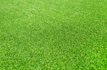 Green grass background. Lawn, football field, grass artificial turf, texture, top view. summer lawn