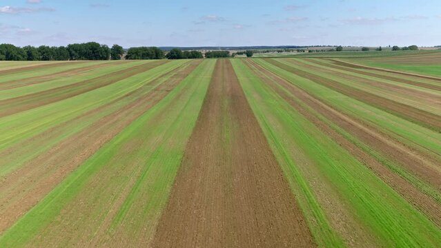 Machines till the fields for the coming harvest year. Wide angle drone shot.