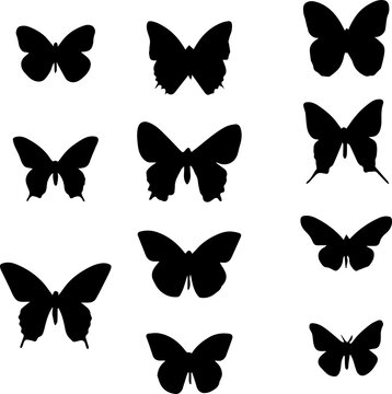 set of butterflies,flower, vector, butterfly, pattern, illustration, design, decoration, nature, floral, art, set, leaf, 