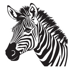 Zebra in cartoon, doodle style. Isolated 2d vector illustration in logo, icon style, Eps 10, black and white. AI Generative