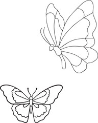 butterfly illustration,flower, vector, butterfly, pattern, illustration, design, decoration, nature, floral, art, set, leaf, 