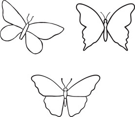 set of butterflies-butterfly, insect, nature, vector, design, illustration, wing, art, decoration, summer, fly,