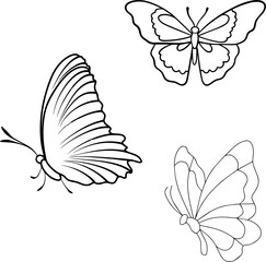 set of butterflies-butterfly, insect, nature, vector, design, illustration, wing, art, decoration, summer, fly,