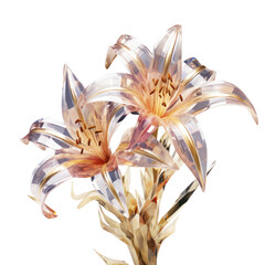 brown crystal lilly,brown lilly flower made of crystal isolated on transparent background,transparency 
