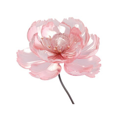 Pink crystal peony,pink peony made of crystal isolated on transparent background,transparency 