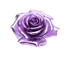 purple crystal rose,purple rose made of crystal isolated on transparent background,transparency 