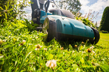 Lawn mower in motion on green grass in garden or backyard. Machine for cutting lawns. Gardening...