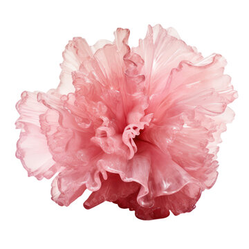 Beautiful crystal pink peony,pink peony made of crystal isolated on transparent background,transparency 