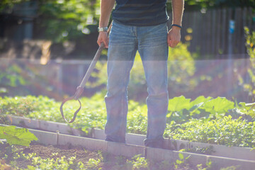 Farmer cultivating land in the garden with hand tools. Soil loosening. Gardening concept....