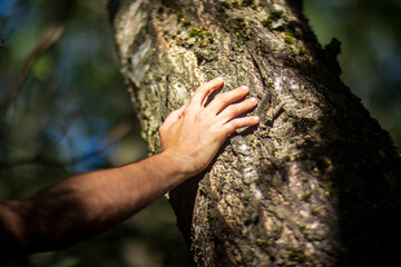 A man's hand touch the tree trunk close-up. Bark wood. Caring for the environment. The ecology concept of saving the world and love nature by human