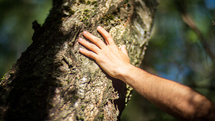 A man's hand touch the tree trunk close-up. Bark wood. Caring for the environment. The ecology concept of saving the world and love nature by human