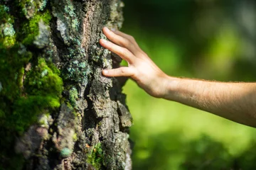 Foto op Aluminium A man's hand touch the tree trunk close-up. Bark wood.Caring for the environment. The ecology concept of saving the world and love nature by human © shaploff