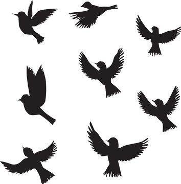 set of birds-bird, silhouette, flying, vector, eagle, animal, wing, illustration, dove, black, nature, wings, hawk, fly, feather, birds, wild, crow, set, tattoo, 