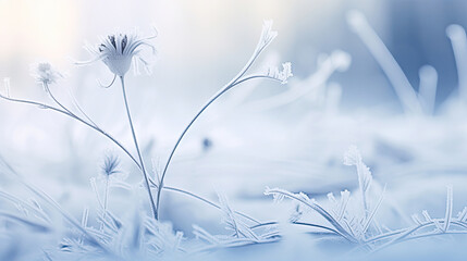 Winter landscape.Winter scene. Frozen flower