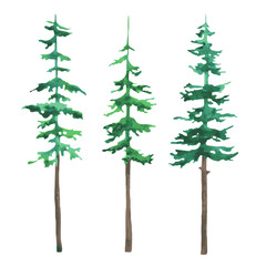 Spruce set element.Coniferous forest. Watercolor hand-drawn illustration.White background.Vector