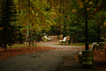Autumn Park aleya benches