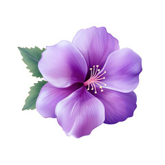 violet flower with leaves png