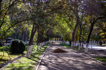 Autumn season in the Central Asia