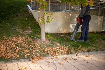 people blowing up the dry leaves and historical place in order to clean it, Registan square,...