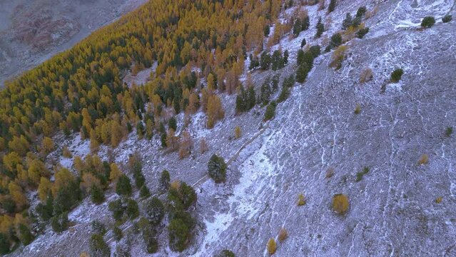 The largest glacier aletschgletscher Ice River in the Swiss Alps