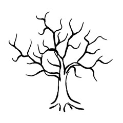 Hand drawn vector illustration of dry tree. Bare branches, on a white background. Old and dead tree. Suitable for Halloween botanical design elements.