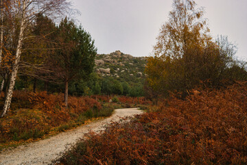 road mountain landscape scenic cloud nature outdoor tree autumn