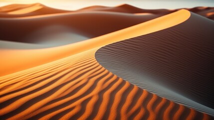 The red deset outside Dubai, with a dune in the foreground and a dunescape extending to the horizon in the background