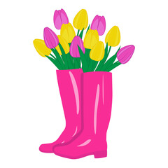 Pink rubber boots with a bouquet of spring flowers on a transparent and white background. Bouquet of multi-colored yellow and pink tulips. Isolated spring element closeup for design decoration. Vector