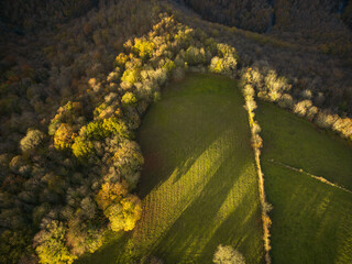Forest and hills landscape at sunrise in  wintertime in Aveyron France