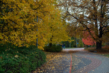 Jesień w Warszawskim parku