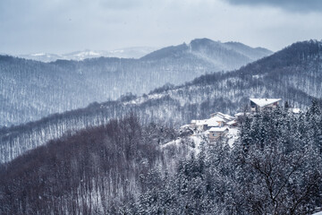 Fototapete bei efototapeten.de bestellen   