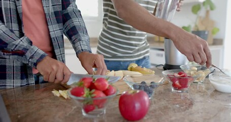 Midsection of diverse gay male couple preparing healthy fruit smoothie in kitchen, slow motion