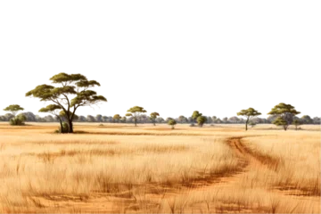 Rolgordijnen  Savanna grass field row. Generative AI. © sahin