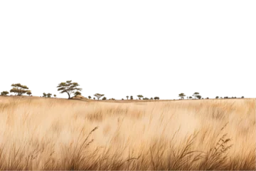 Fototapeten  Savanna grass field row. Generative AI. © sahin