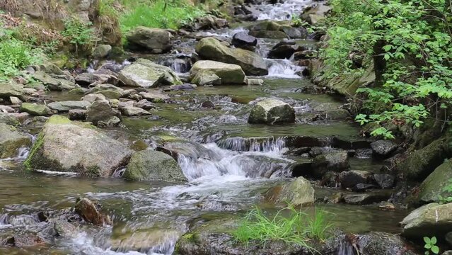 Idyllic creek in the Bavarian Forest
