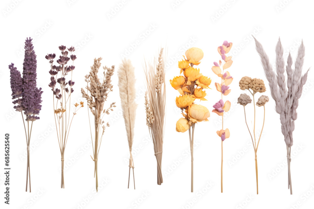 Wall mural set dried flowers, bouqets. generative ai.