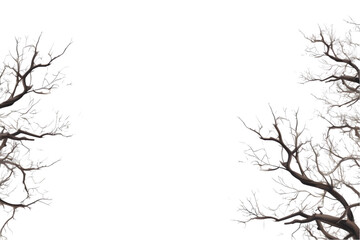 tree branches and isolated on a white transparent background. Generative AI.