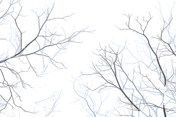 tree branches winter snow cover. Generative AI.